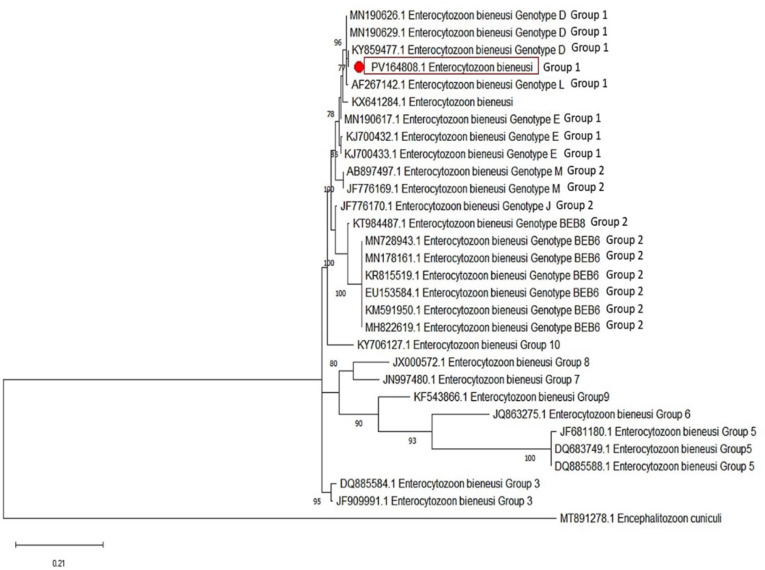 Fig. 3: