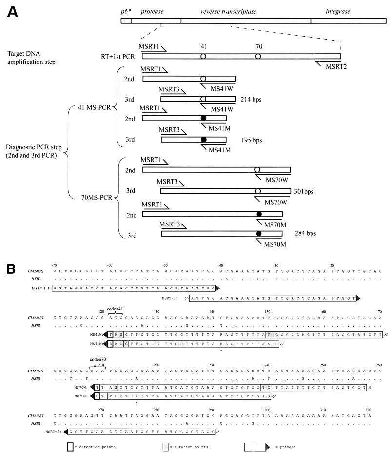 FIG. 1.