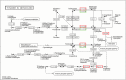 Fig 12