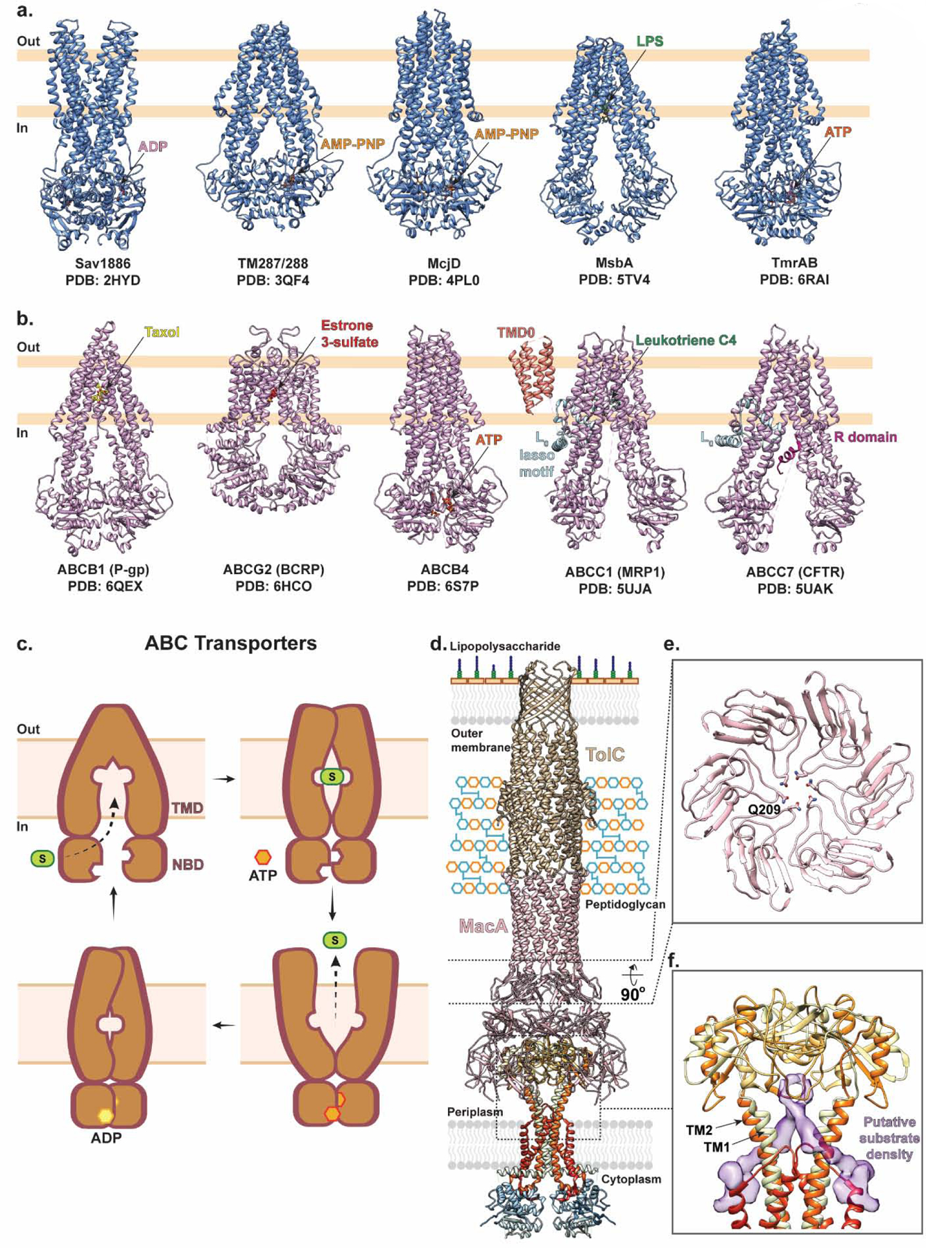 Figure 6 |