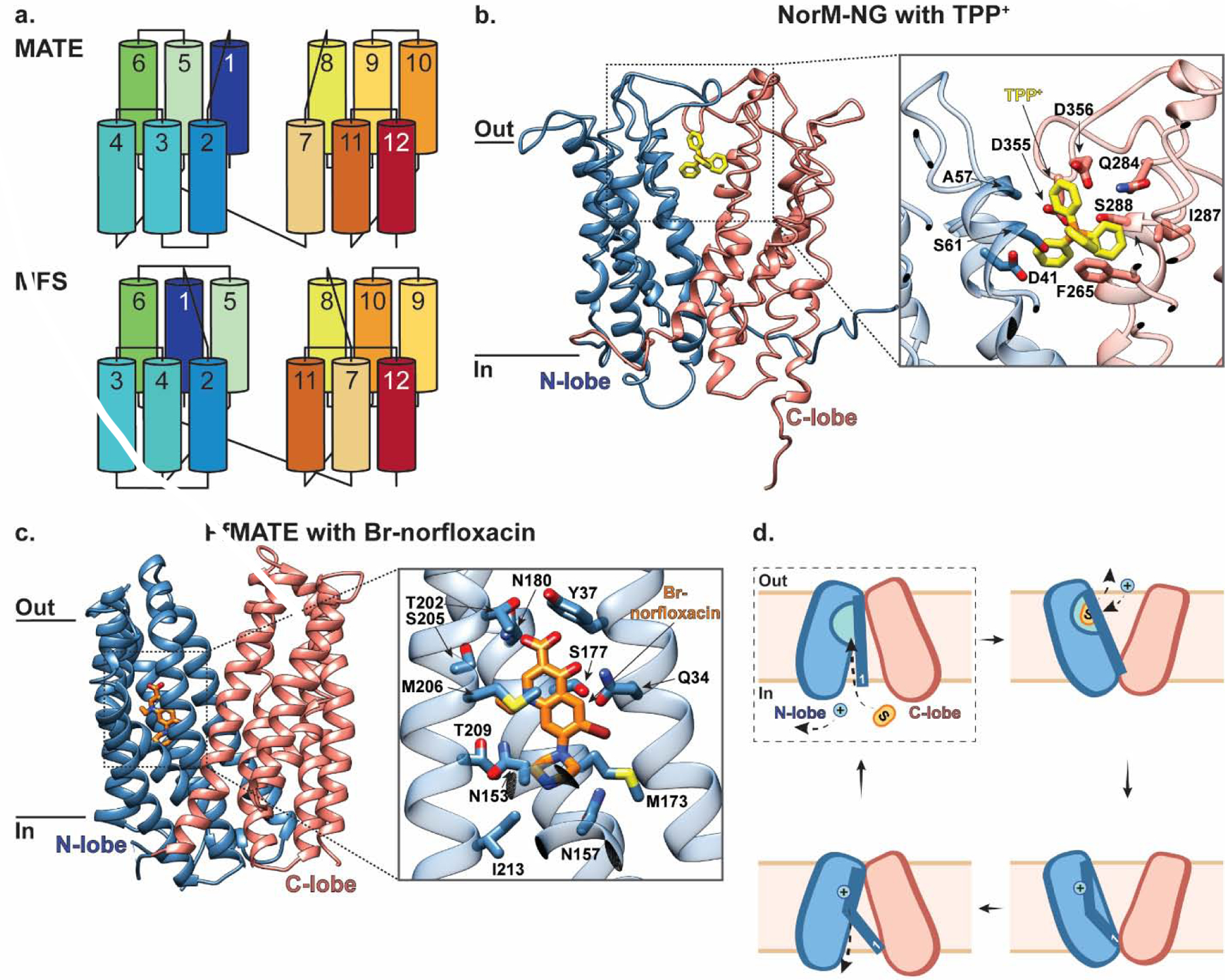 Figure 4 |