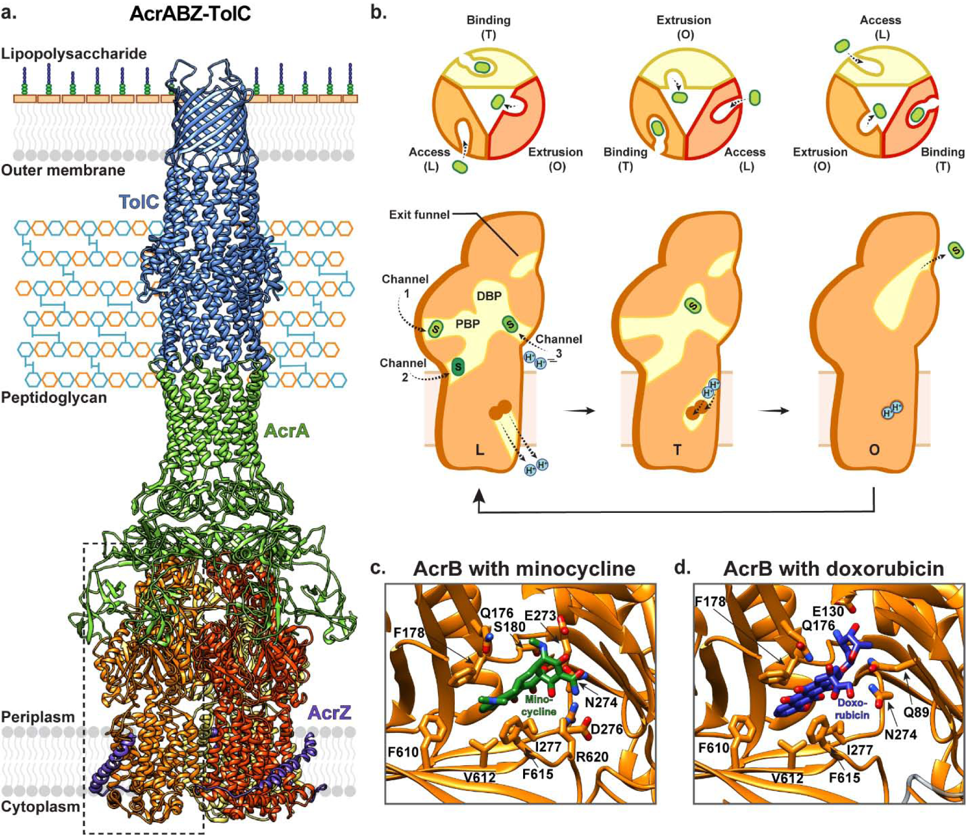 Figure 5 |