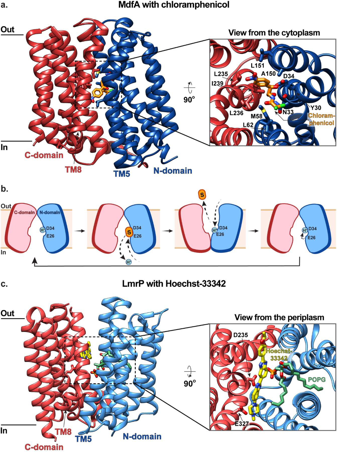 Figure 1 |