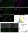 Extended Data Fig. 7