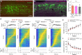 Extended Data Fig. 6