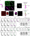 Extended Data Fig. 8