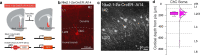 Extended Data Fig. 5