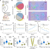 Extended Data Fig. 1