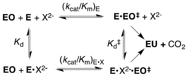 Scheme 4