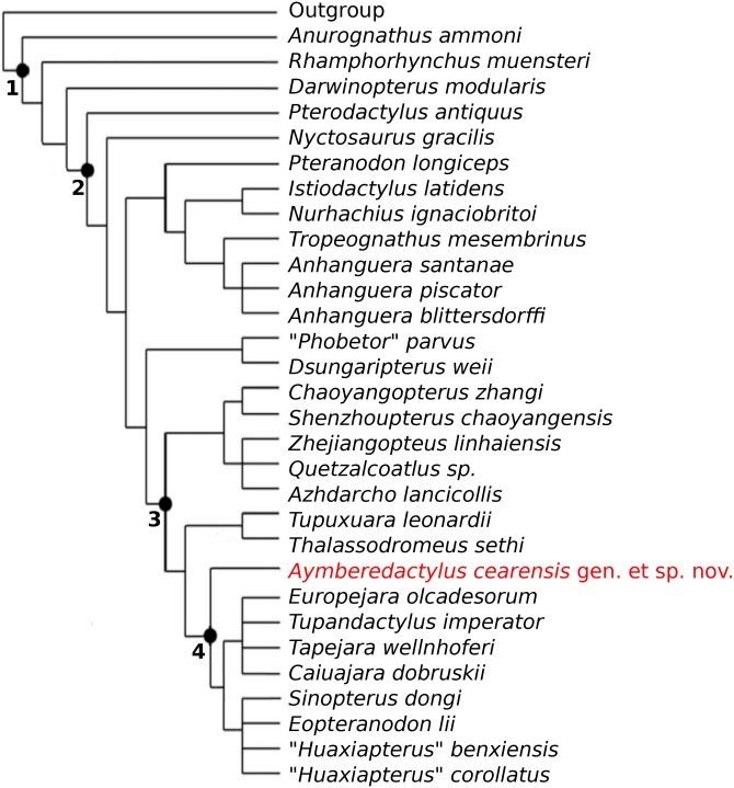 Fig 6