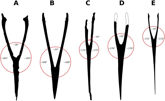 Fig 5