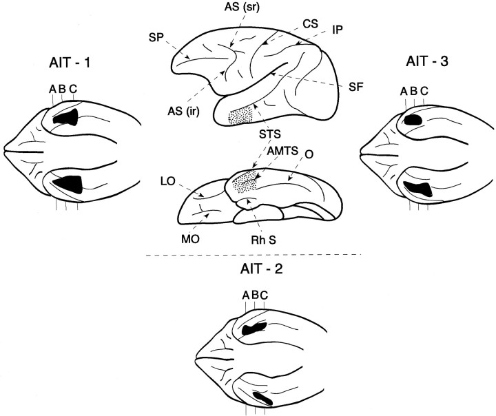 Fig. 5.