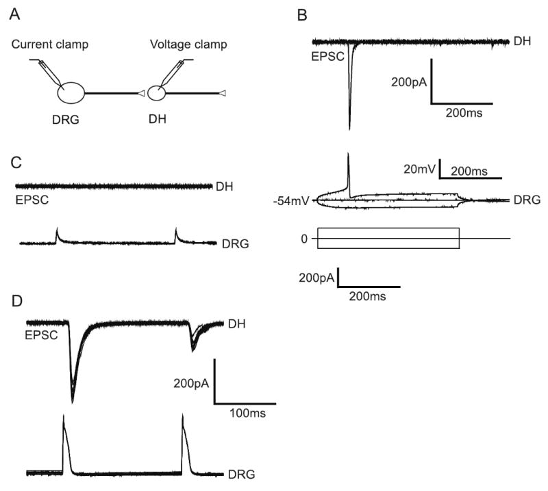 Fig. 5