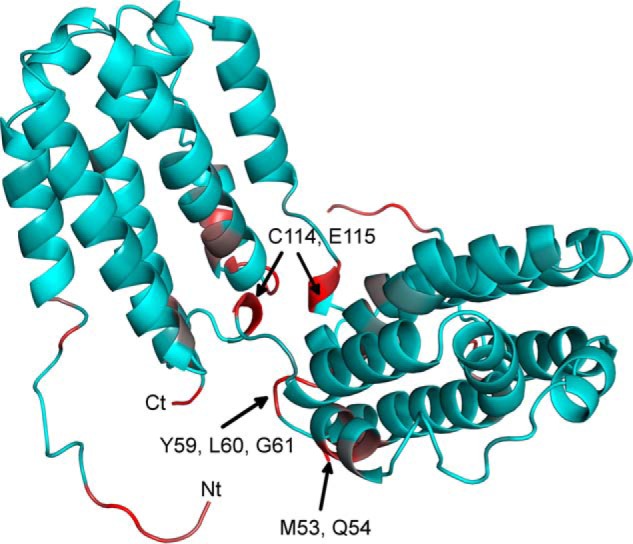 FIGURE 4.