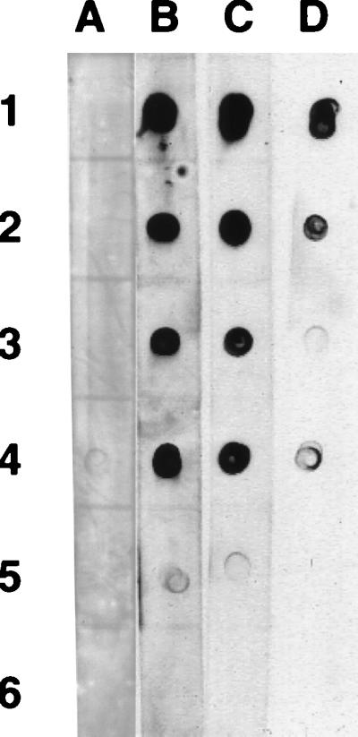 FIG. 7