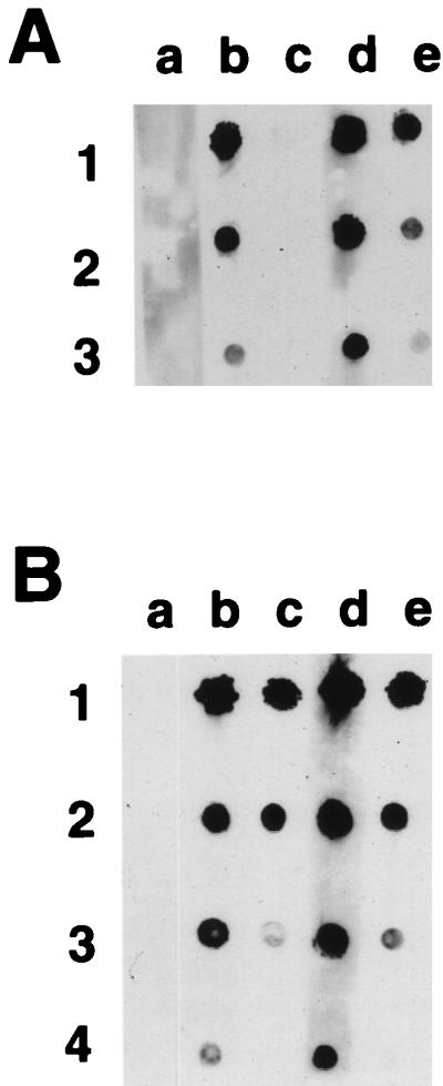 FIG. 8