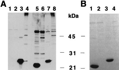 FIG. 5