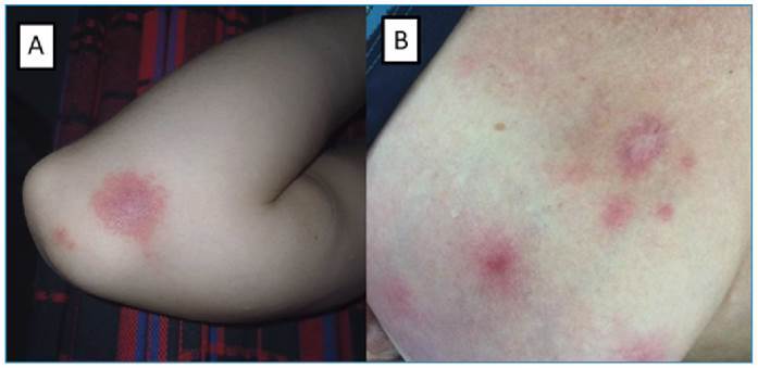 FIGURE 2: