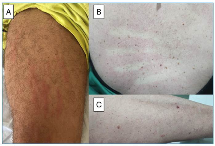 FIGURE 3: