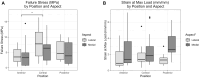 A: (A) Boxplot: Comparison of MTLC Failure Stress (MPa) by Position and Aspect. (B) Boxplot: Comparison of MTLC Strain at Max Load (mm/mm) by Position and Aspect. *Indicates p <0.05*.
