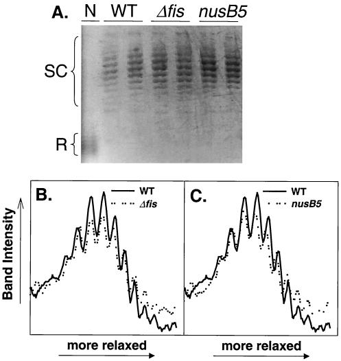 FIG. 6.