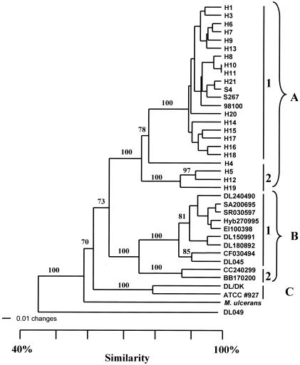 FIG. 2.