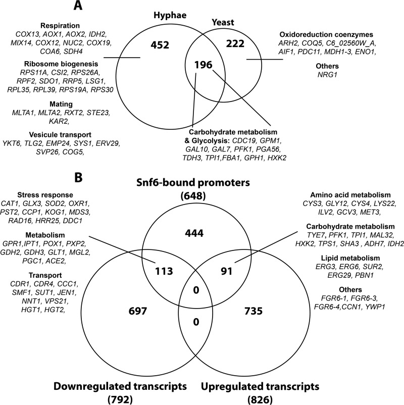 FIG 5 