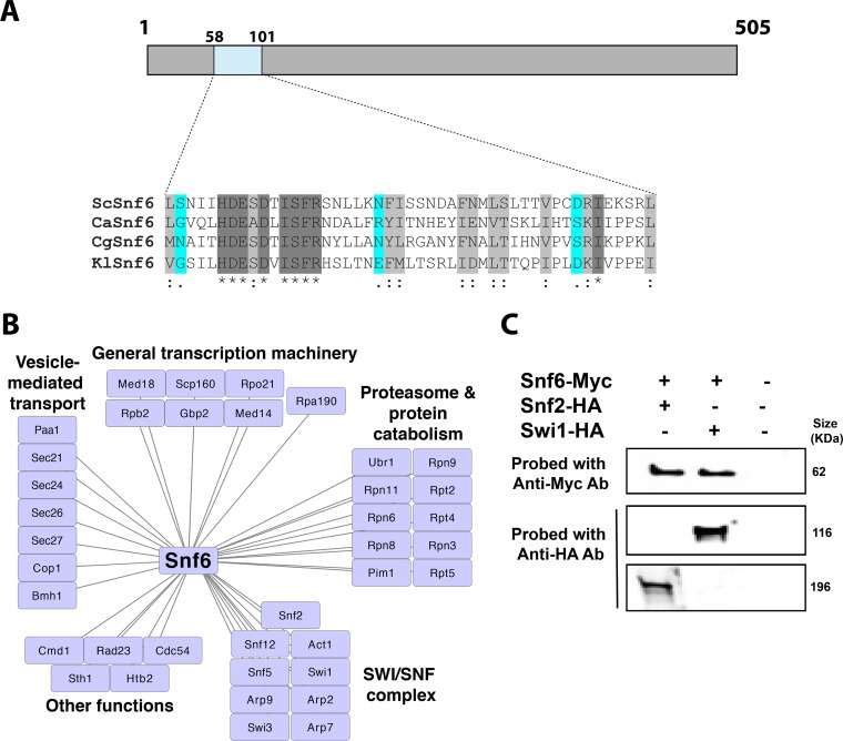 FIG 1 