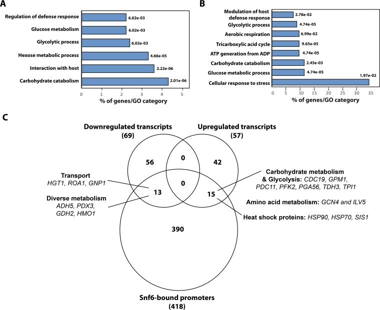 FIG 2 