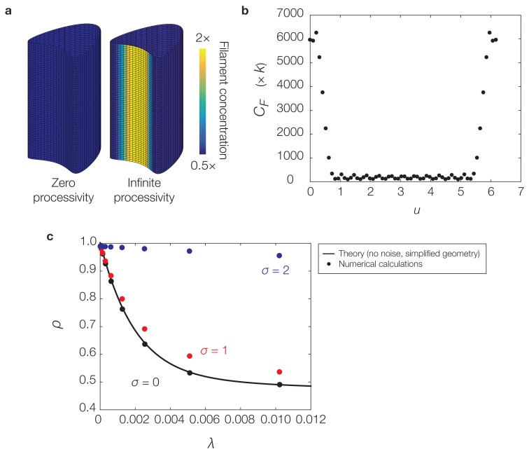 Figure 4—figure supplement 3.