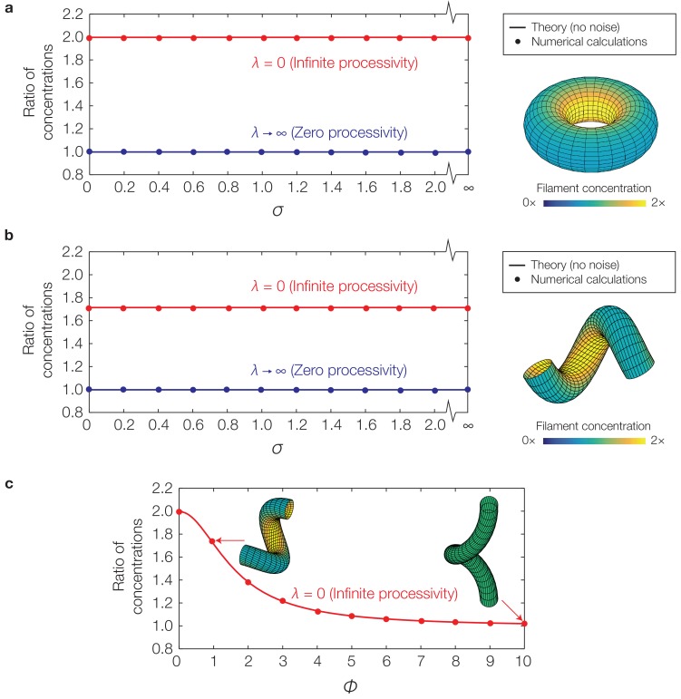 Figure 4—figure supplement 1.