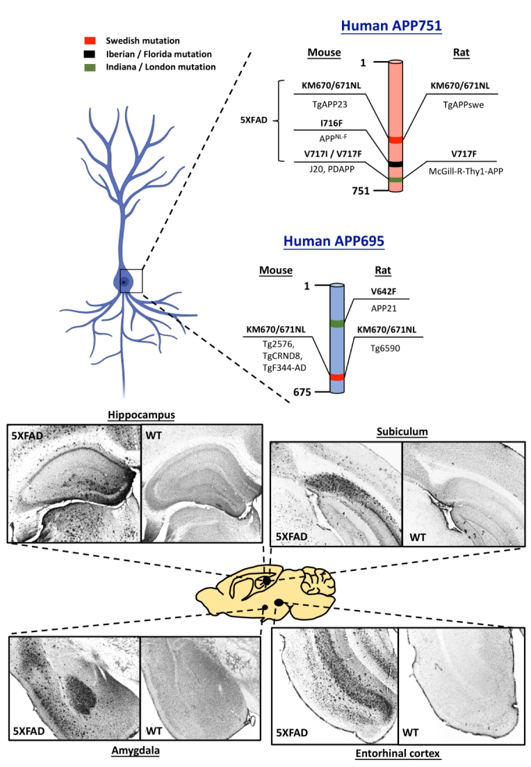 Figure 2.