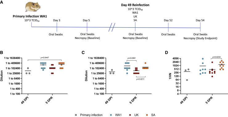 Figure 4