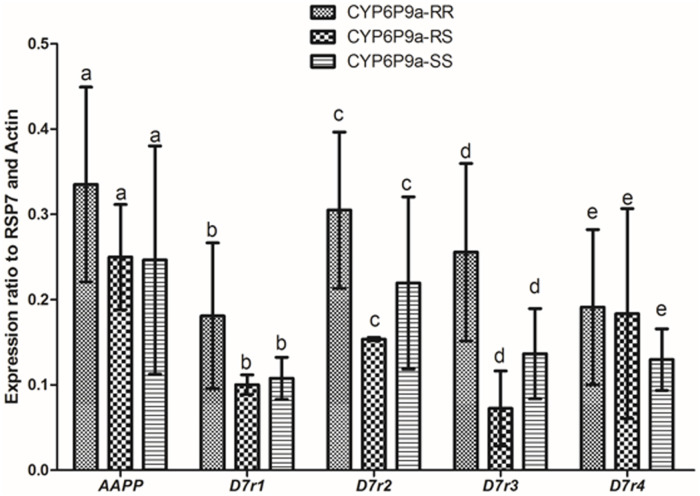 Fig 4