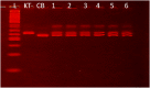 Figure 3