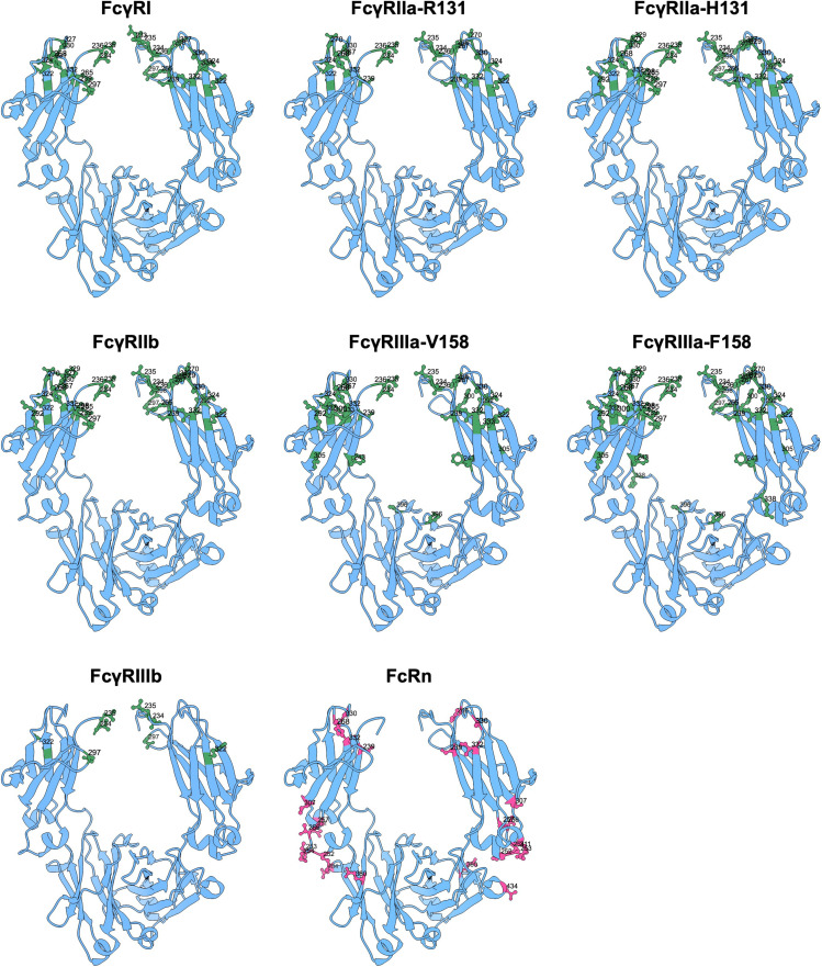 Figure 5