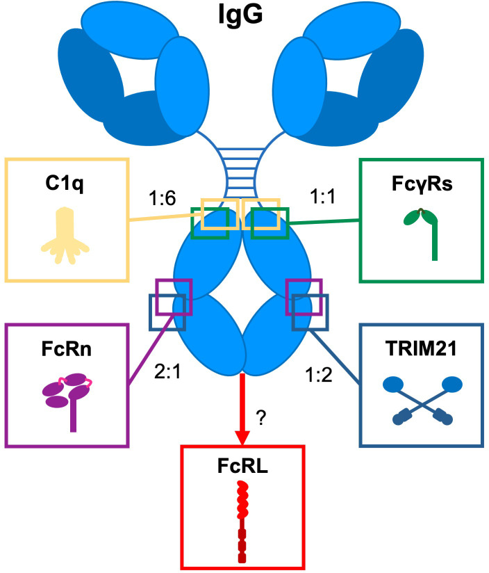 Figure 1