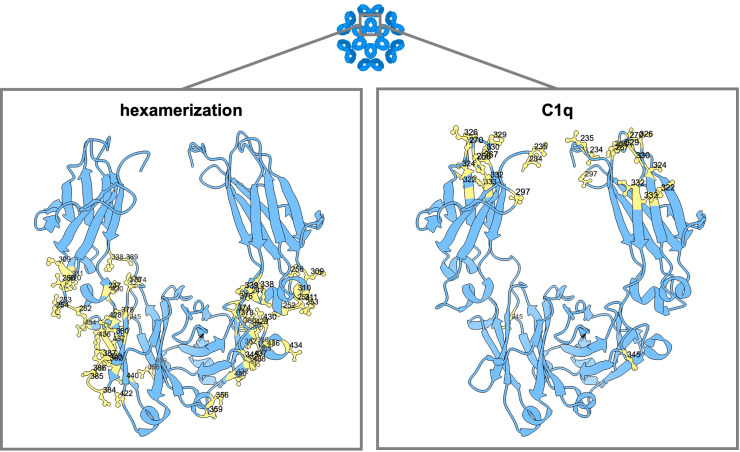 Figure 4