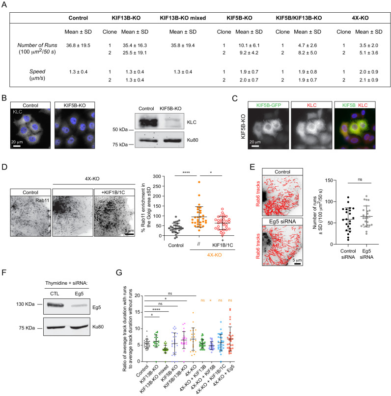 Figure 2—figure supplement 2.