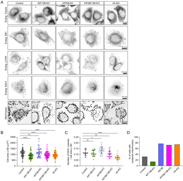 Figure 2—figure supplement 1.