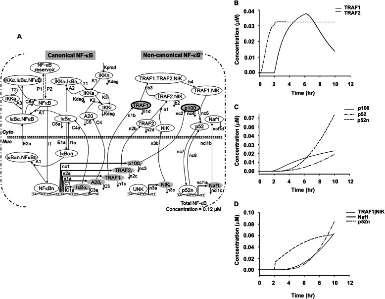 FIGURE 4.