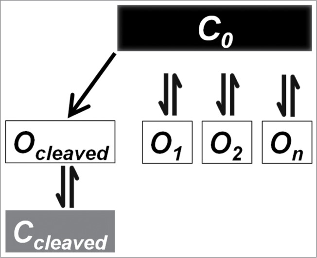 Figure 12.