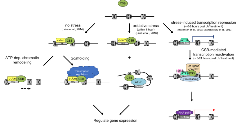 Figure 2.