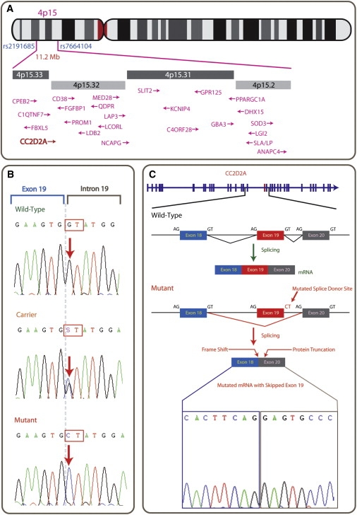 Figure 2