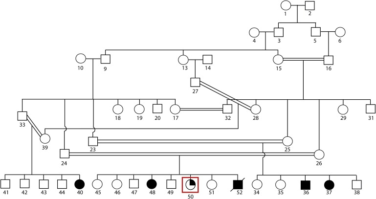 Figure 1