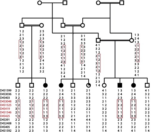 Figure 3