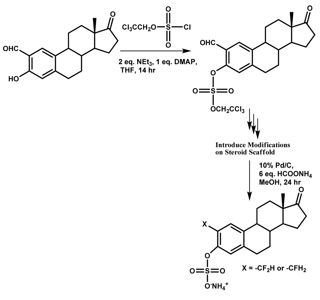 Scheme 7