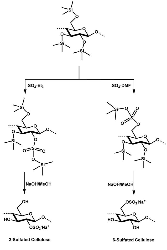 Scheme 12