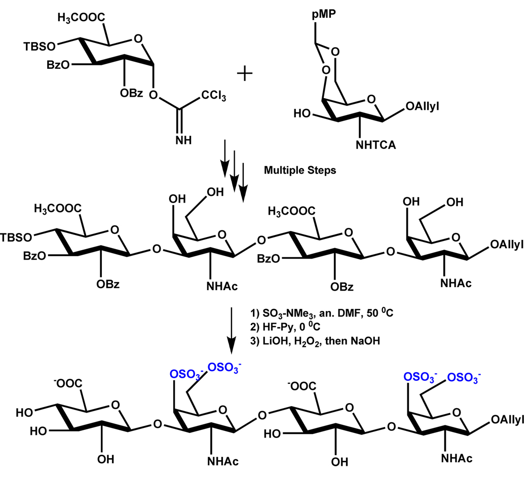 Scheme 3