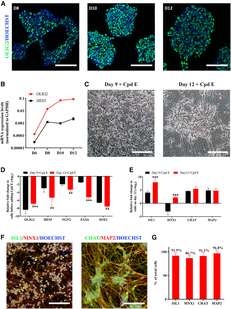 Figure 3